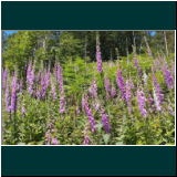 WhatsApp Image 2024-06-11 at 09.48.04.jpg